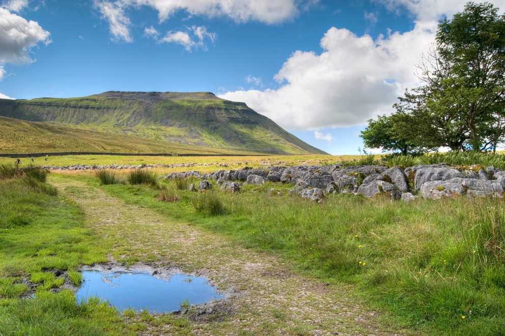 The Three Peaks is on our doorstep at Hollow Gill Huts. Walk Ingleborough and stay with us